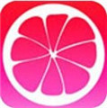 蜜柚app下载最新版