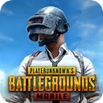 pubg国际服下载安装官方正版