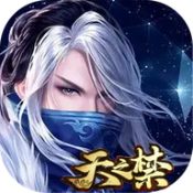 天之禁诸界破碎高返版