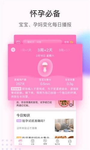 美柚app