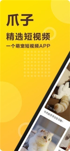 爪子app最新版