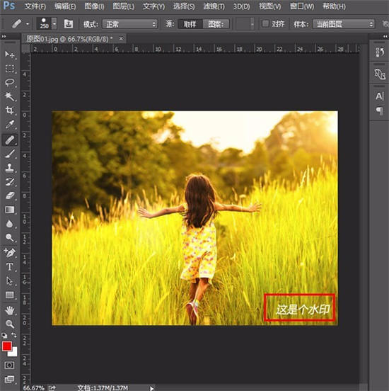 Photo shop cs6破解补丁PC版