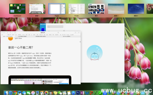 《macOS》分屏功能怎么使用