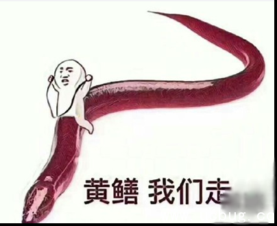 网络热词"黄鳝是什么梗" 黄鳝女主播事谁