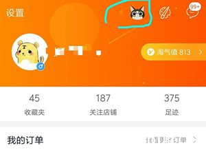 《淘宝》捉猫猫有什么用