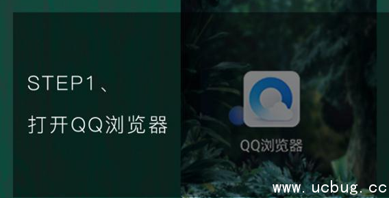 《手机QQ浏览器》怎么识别花草