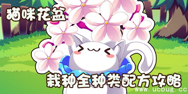 《猫咪花盆》蒲公英怎么种