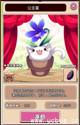 猫咪花盆公主堇