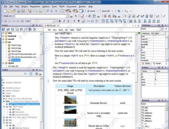 Oxygen XML Editor 20