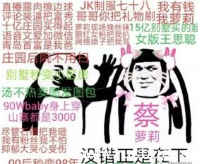 快手蔡萝莉黑历史被曝 蔡萝莉直播录像合集在线观看