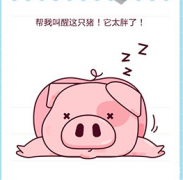 微信最囧大脑第4关怎么过 帮我叫醒这只猪它太胖了答案