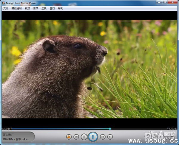 Macgo Free Media Player