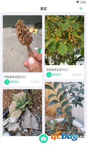 趣植物安卓版