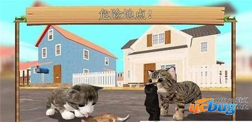 捣蛋猫咪模拟器游戏