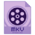 Dimo MKV Converter(MKV视频转换器)v4.2.0官方版