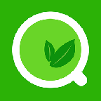 绿茶浏览器软件